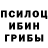 Псилоцибиновые грибы Psilocybe ScruXtY