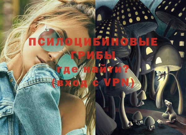ПСИЛОЦИБИНОВЫЕ ГРИБЫ Алексин