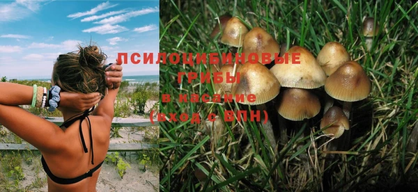 ПСИЛОЦИБИНОВЫЕ ГРИБЫ Алексин