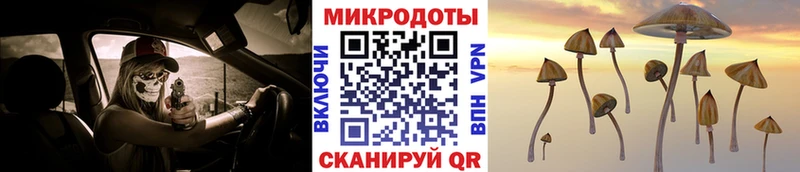 даркнет состав  Рошаль  Псилоцибиновые грибы MAGIC MUSHROOMS 